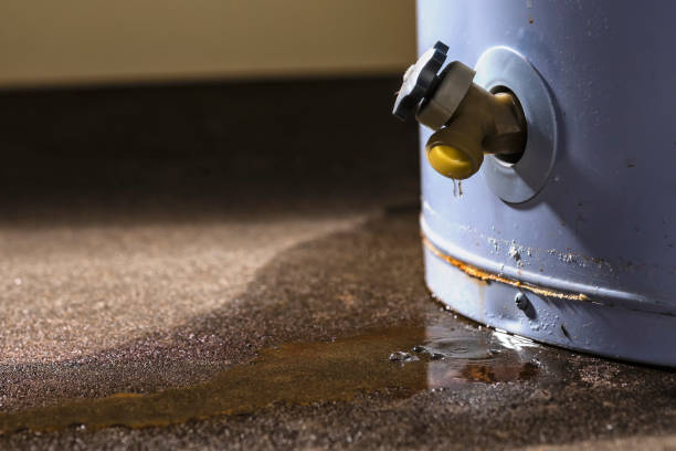 Best Water damage repair service  in Pierceton, IN