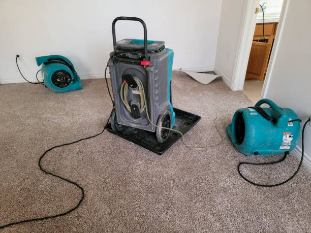 Best Water damage mitigation services  in Pierceton, IN