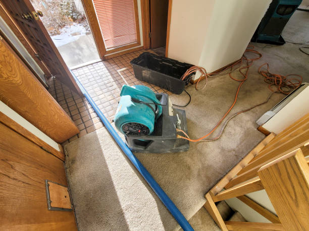 Best Mold removal after water damage  in Pierceton, IN