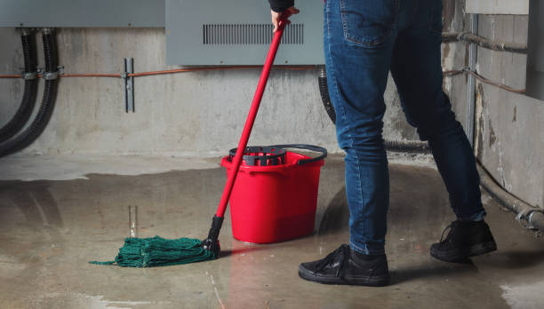 Best Professional water damage repair  in Pierceton, IN