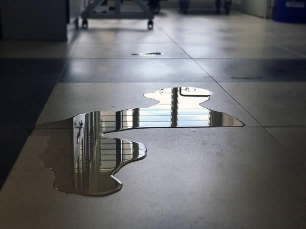 Best Water damage restoration process  in Pierceton, IN