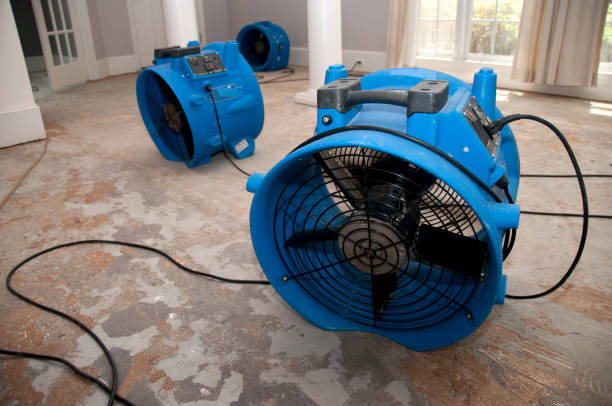 Best Ceiling water damage repair  in Pierceton, IN