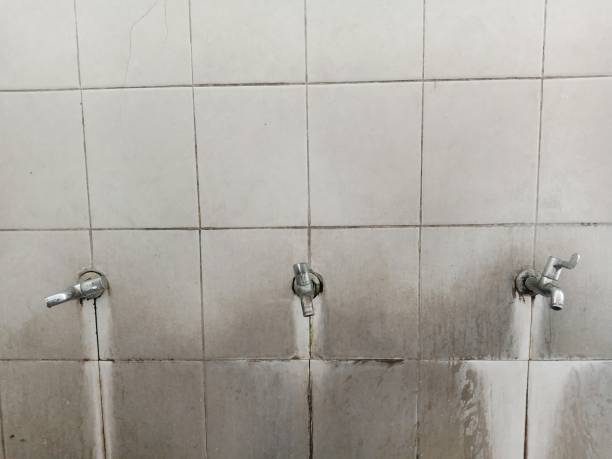 Best Water damage restoration near me  in Pierceton, IN