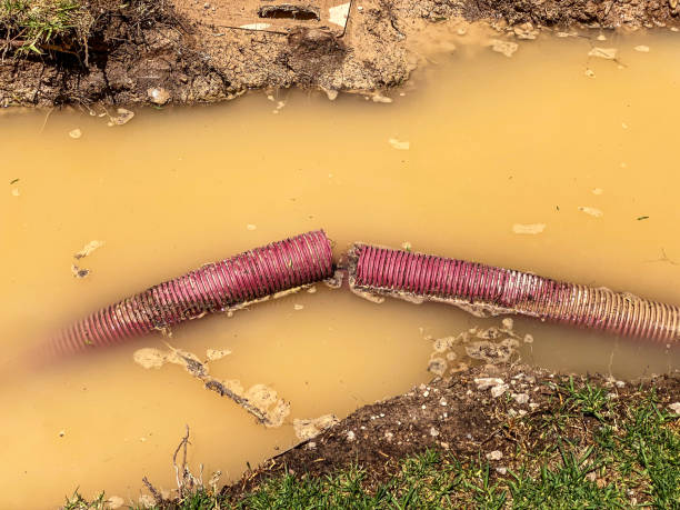 Best Residential water damage restoration  in Pierceton, IN